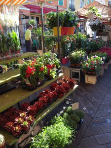 cours saleya vieux marché aux fleurs Nice